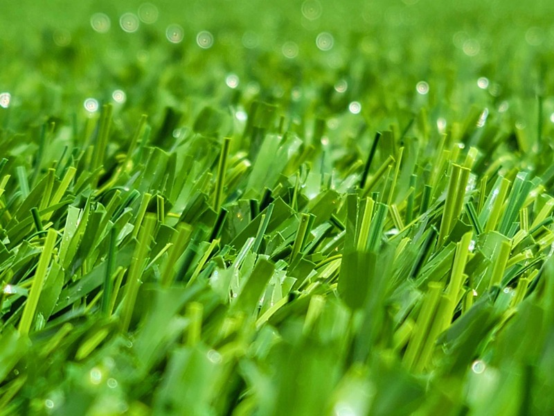 GrassMac example